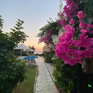 Suna House Söğüt